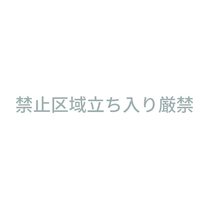 禁止区域立ち入り厳禁 10