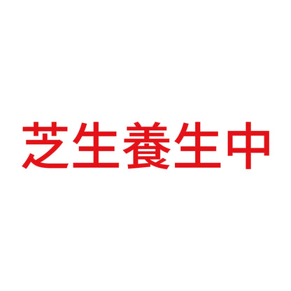芝生養生中 8