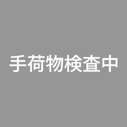 手荷物検査中 7