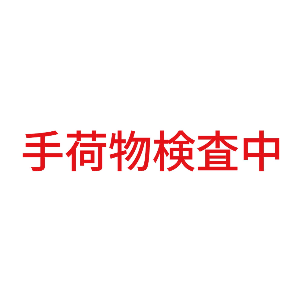 手荷物検査中 8