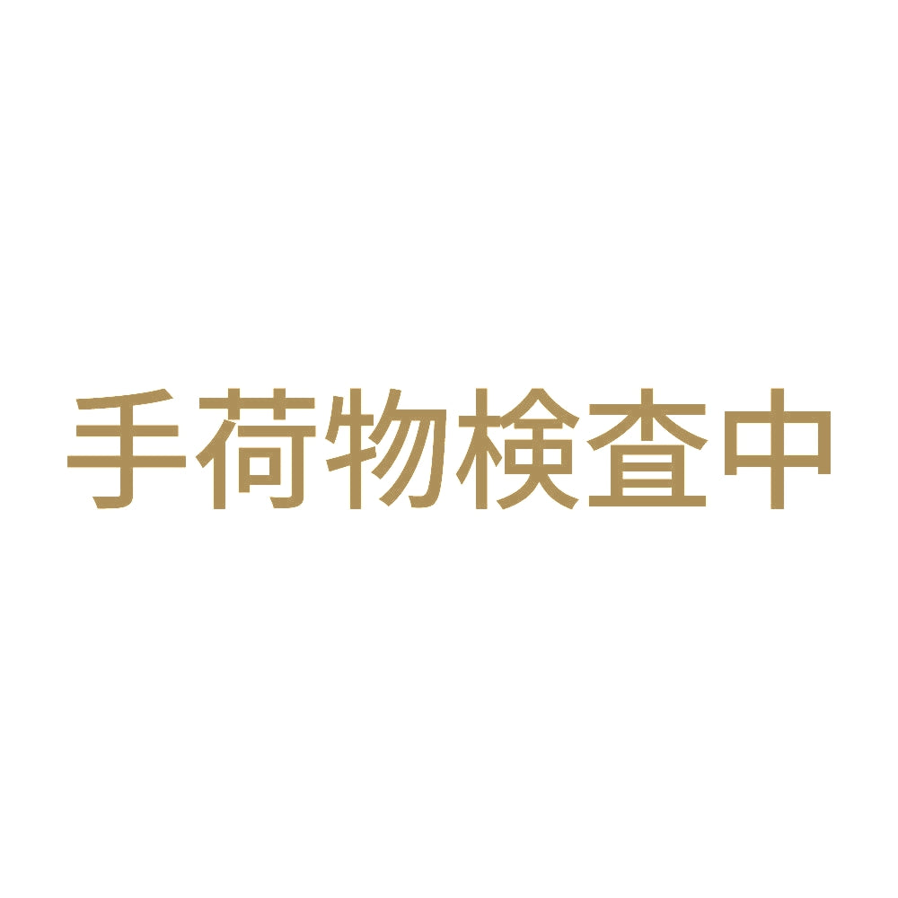 手荷物検査中 9