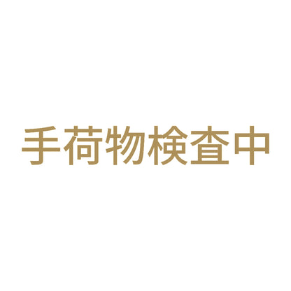 手荷物検査中 9