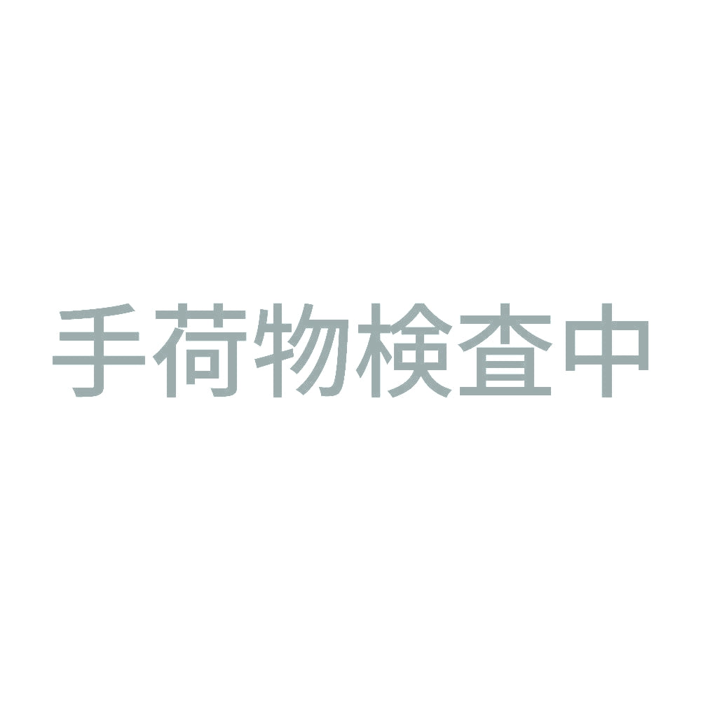 手荷物検査中 10