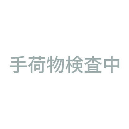 手荷物検査中 10