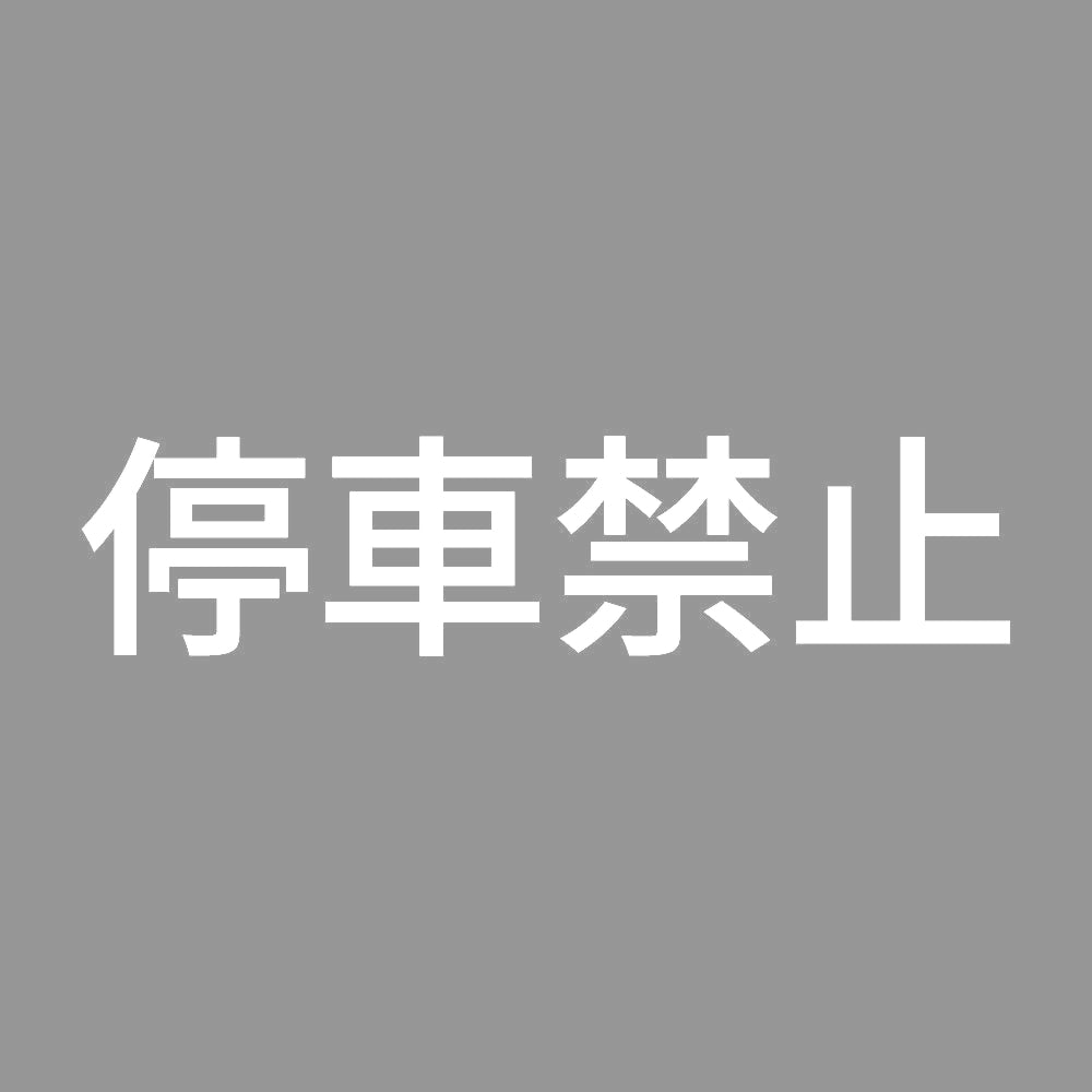 停車禁止 7