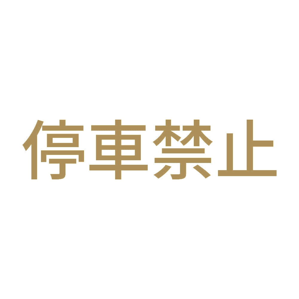 停車禁止 9