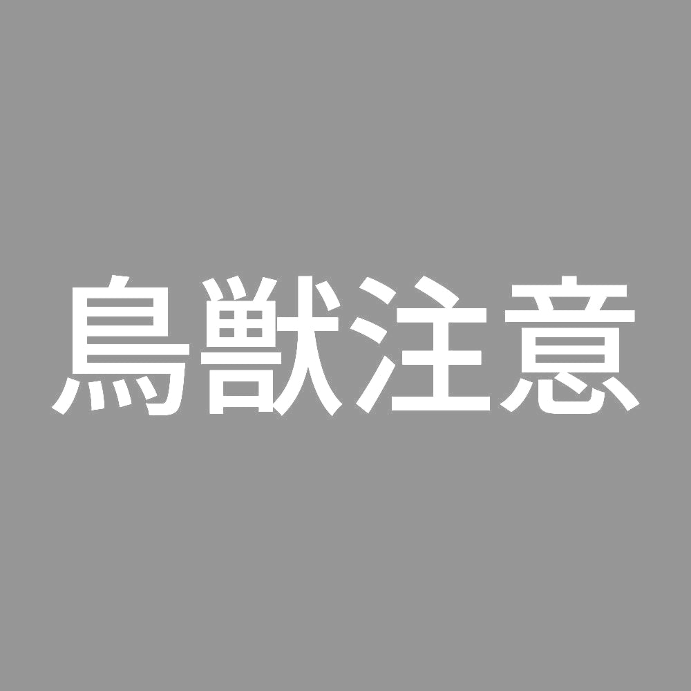 鳥獣注意 7