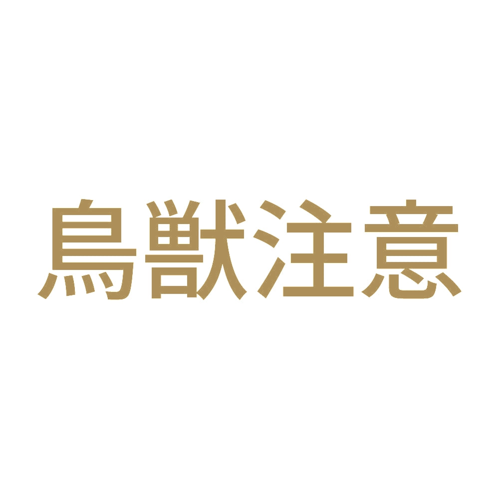 鳥獣注意 9