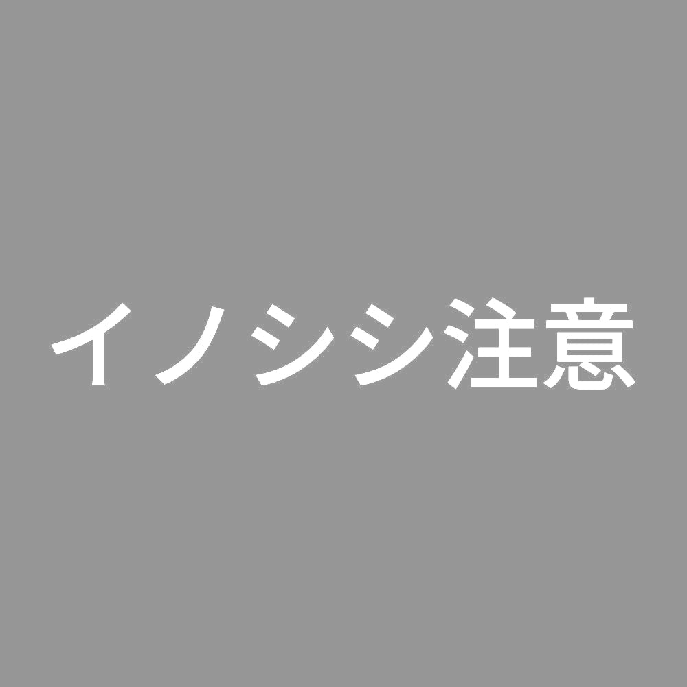 イノシシ注意 7