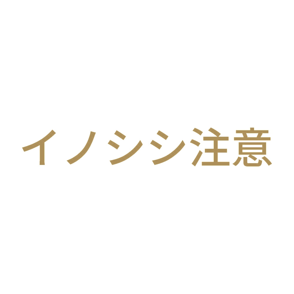 イノシシ注意 9