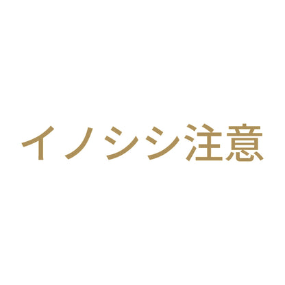 イノシシ注意 9