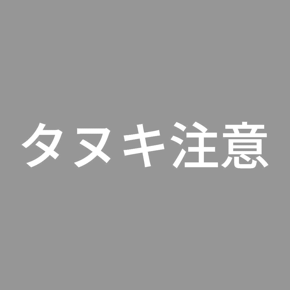 タヌキ注意 7