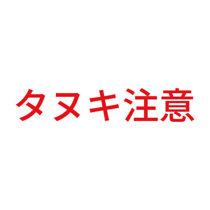 タヌキ注意 8
