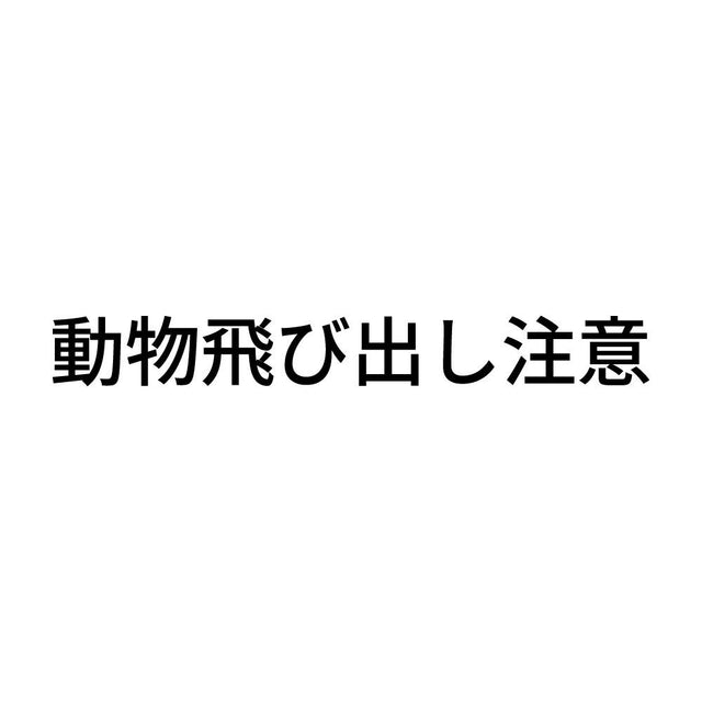 動物飛び出し注意