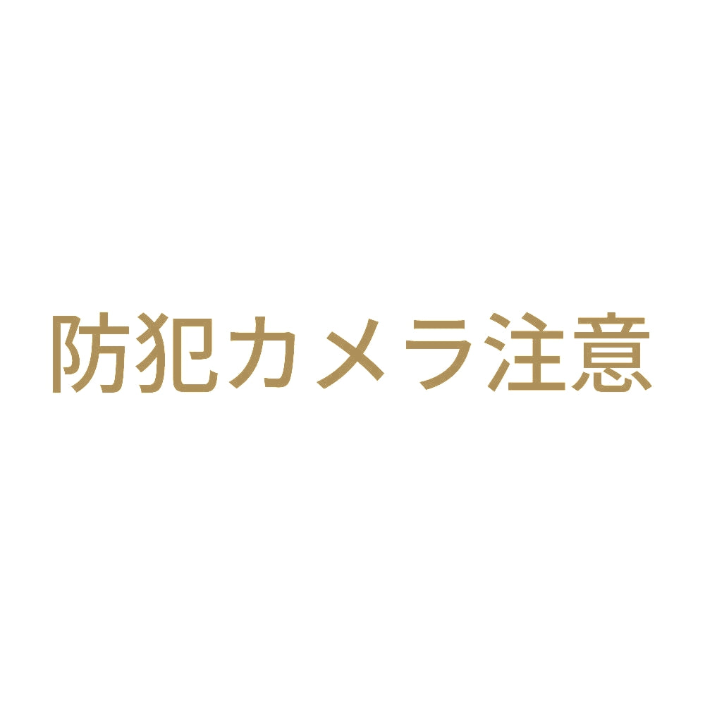 防犯カメラ注意 9