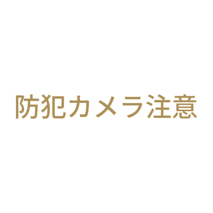 防犯カメラ注意 9