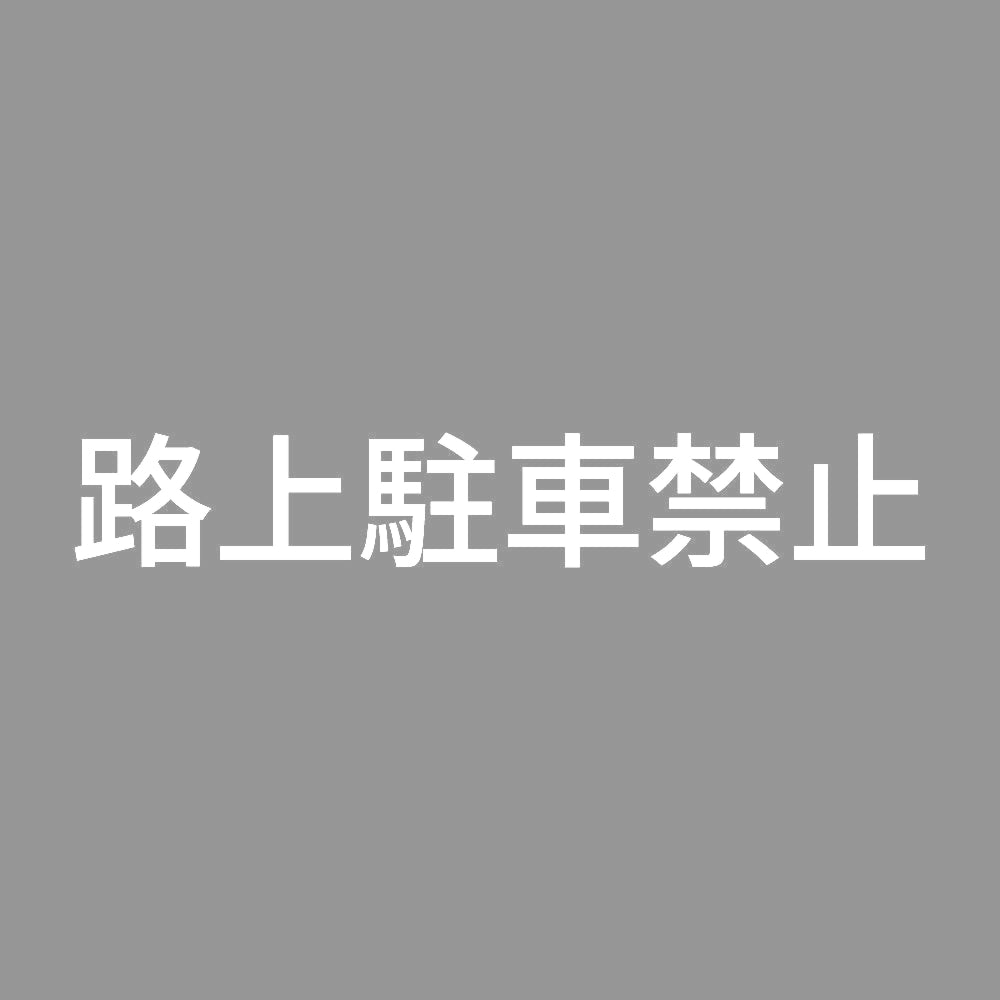 路上駐車禁止 7