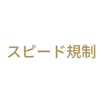 スピード規制 9