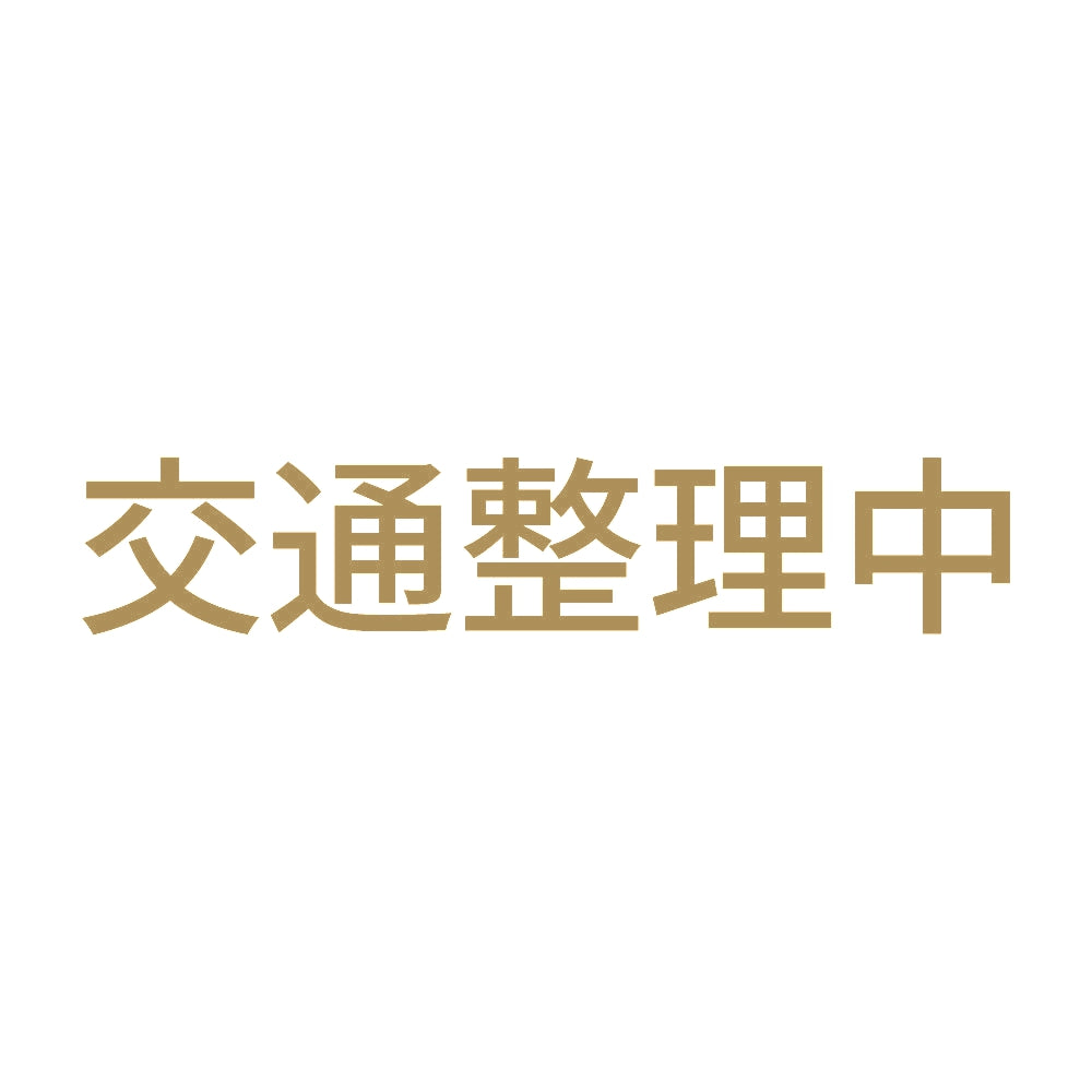交通整理中 9