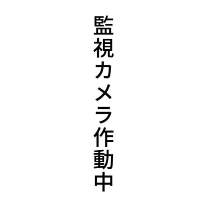 監視カメラ作動中 縦