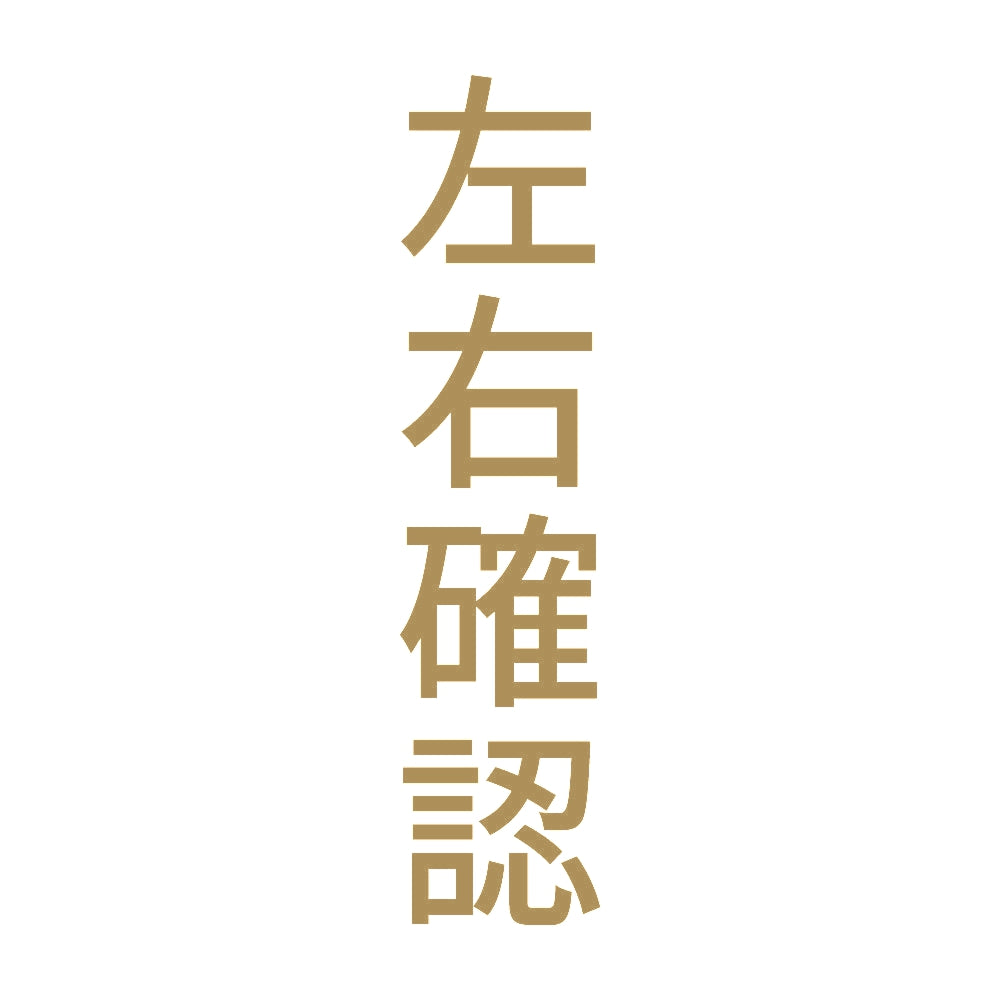 左右確認 縦 9