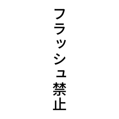 フラッシュ禁止 縦