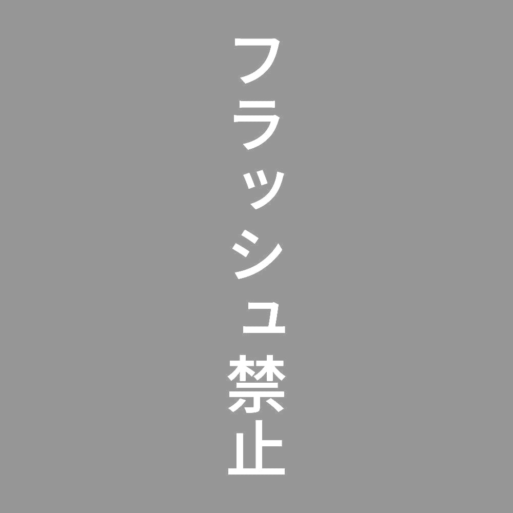 フラッシュ禁止 縦 7
