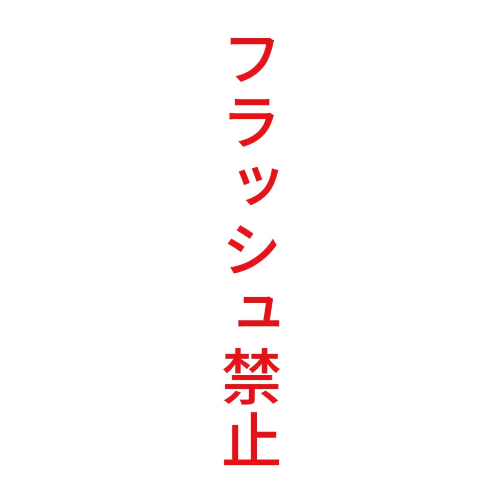 フラッシュ禁止 縦 8