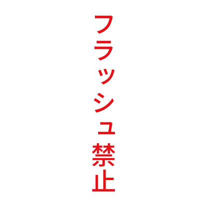 フラッシュ禁止 縦 8