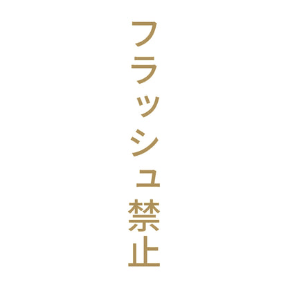 フラッシュ禁止 縦 9