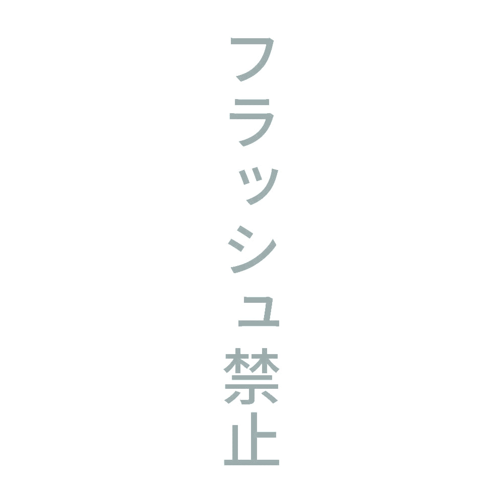 フラッシュ禁止 縦 10