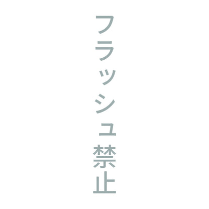 フラッシュ禁止 縦 10