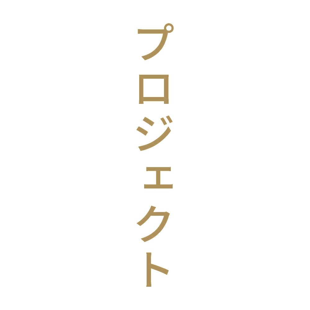 プロジェクト 縦 9