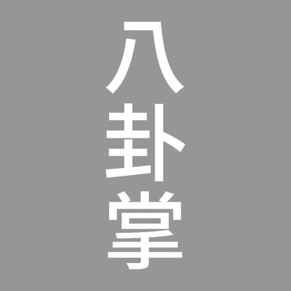 八卦掌 縦 7