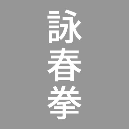 詠春拳 縦 7