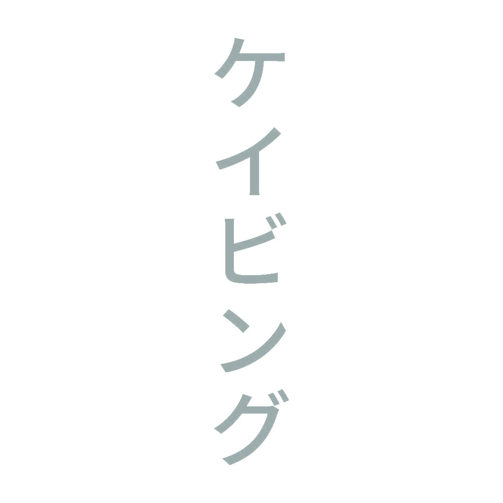 ケイビング 縦 10