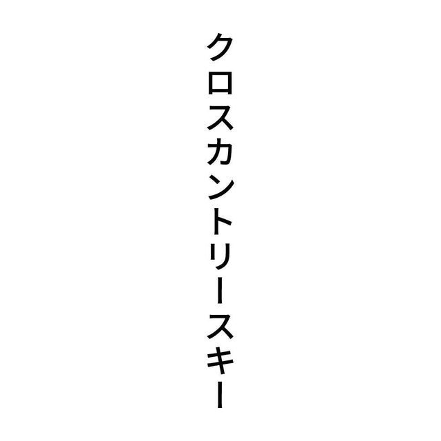 クロスカントリースキー 縦