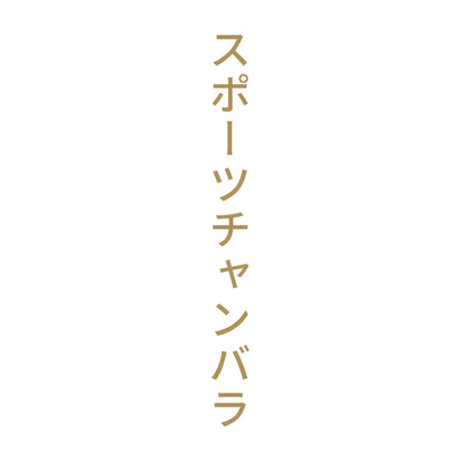 スポーツチャンバラ 縦 9