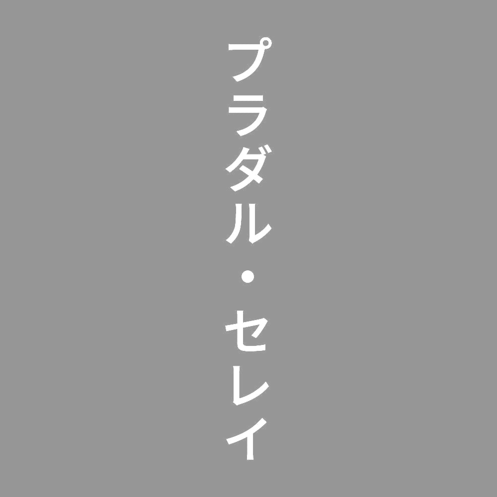 プラダル・セレイ 縦 7