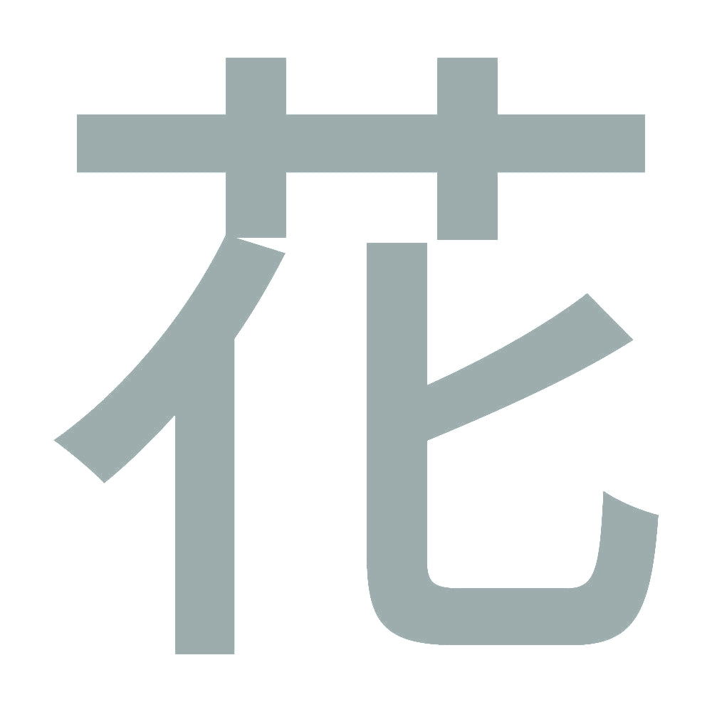 花 (A) 10