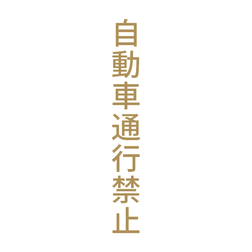自動車通行禁止 縦 9