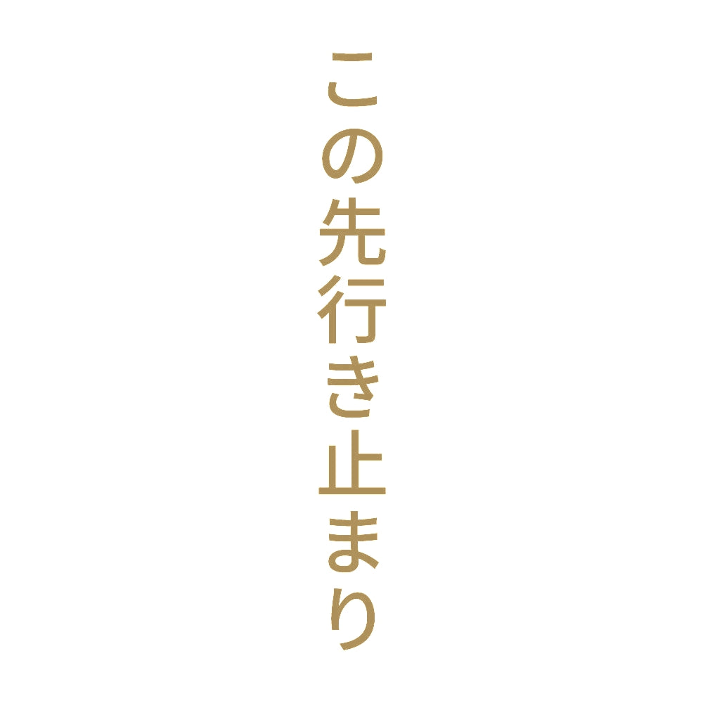 この先行き止まり 縦 9