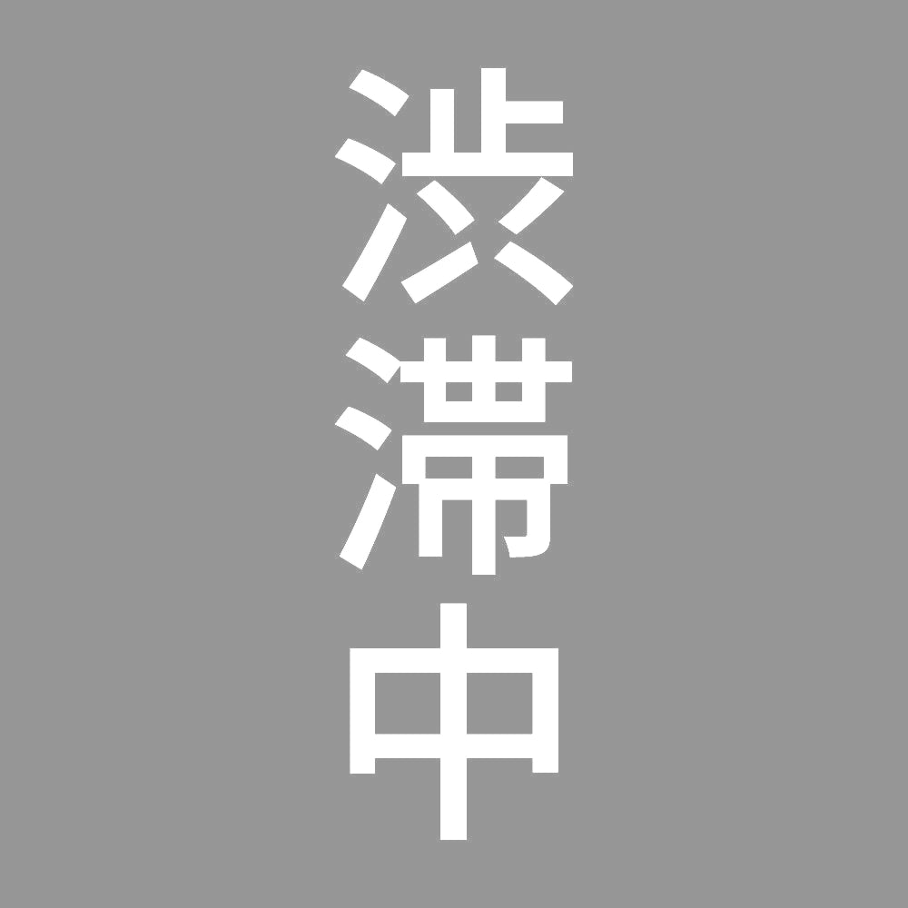 渋滞中 縦 7