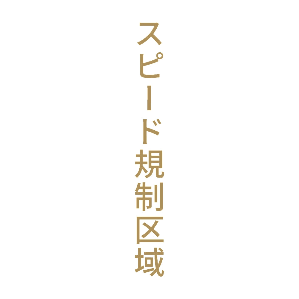 スピード規制区域 縦 9