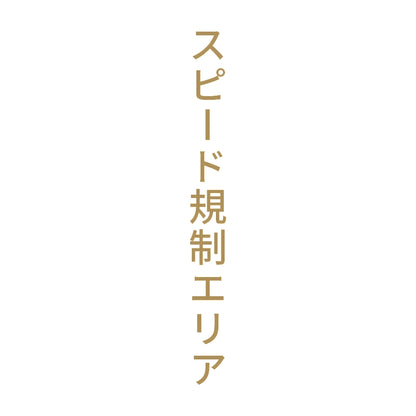 スピード規制エリア 縦 9