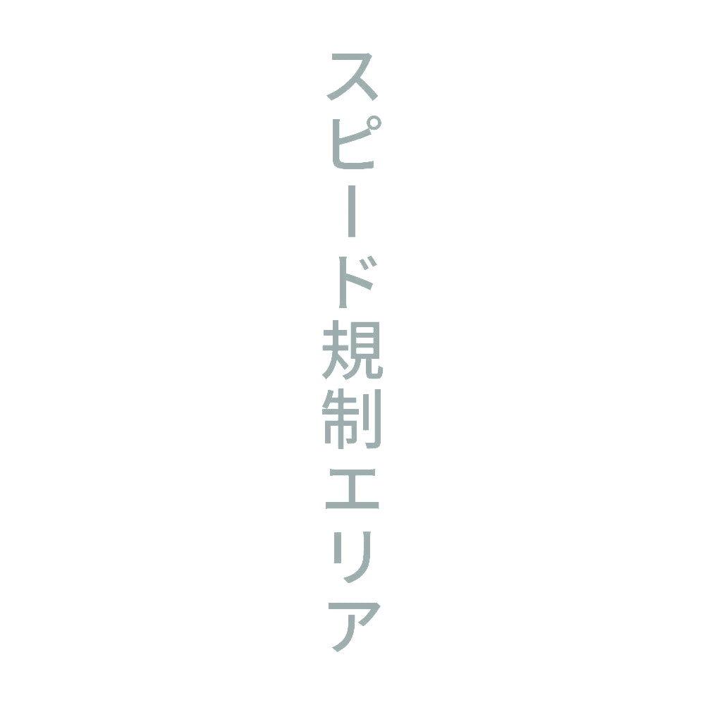 スピード規制エリア 縦 10