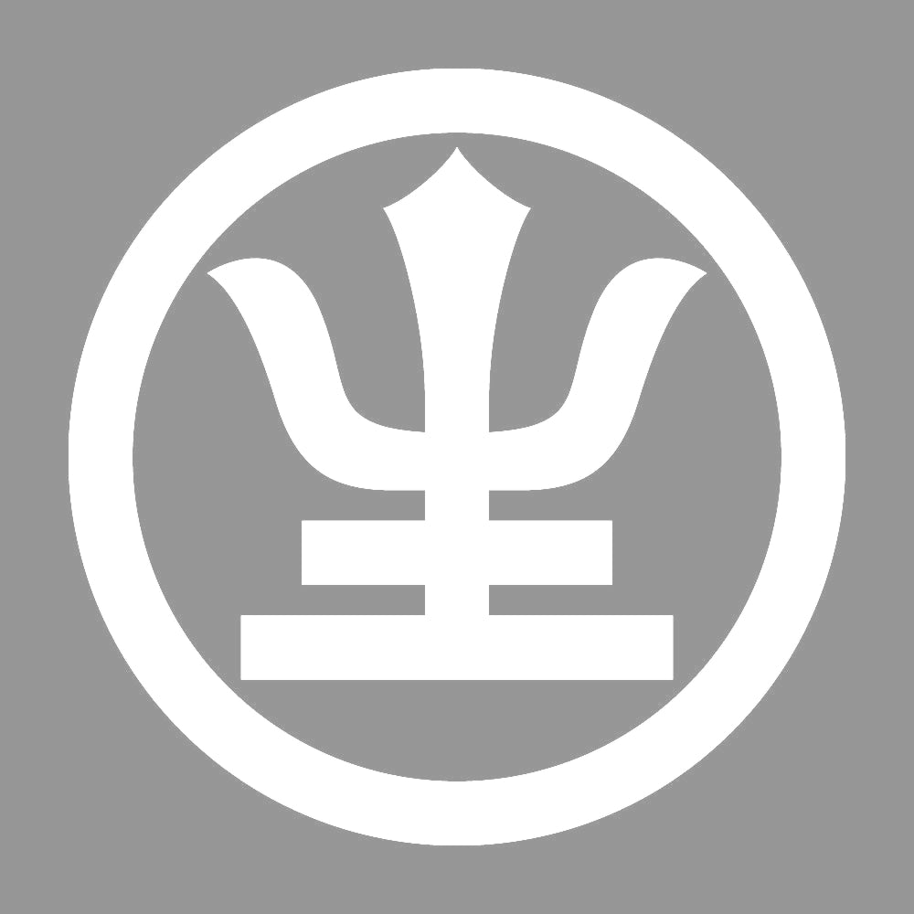 丸に主の字紋 7