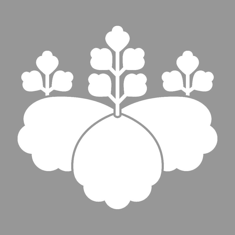 松江桐紋 7