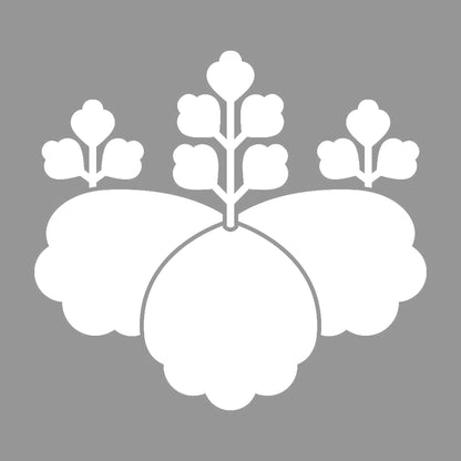 松江桐紋 7