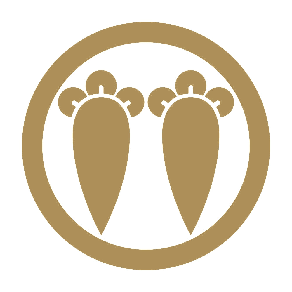 丸に並び丁字紋 9